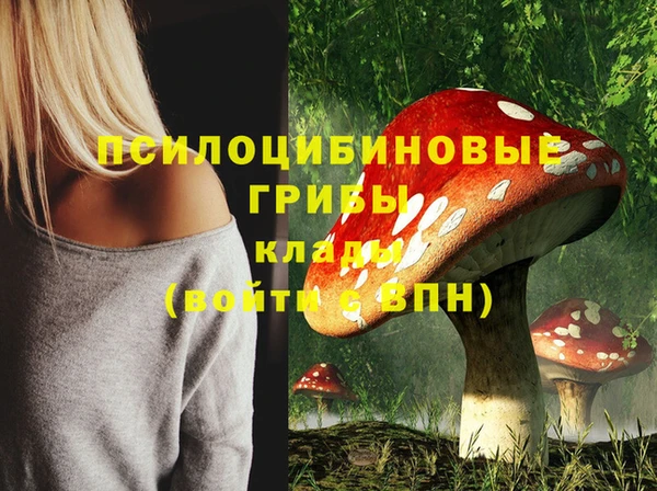 Альфа ПВП Балахна