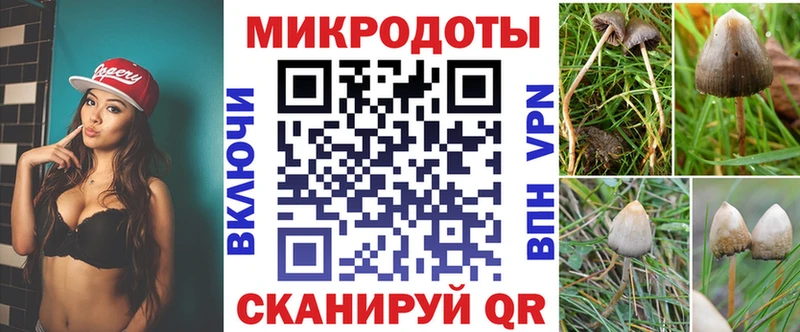 Галлюциногенные грибы мухоморы  Лосино-Петровский 
